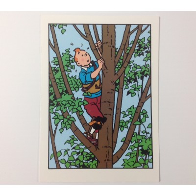 Carte - Tintin dans l'arbre